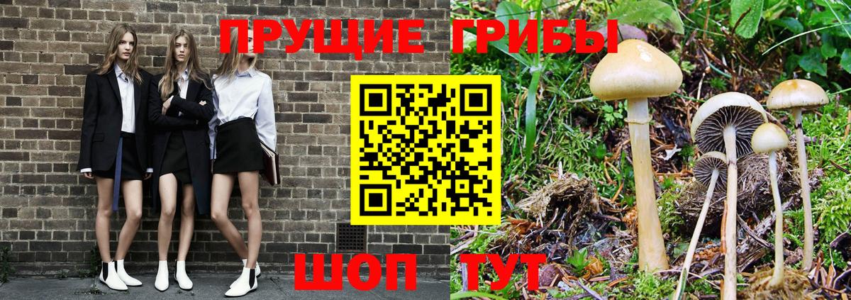 Галлюциногенные грибы прущие грибы Кировск